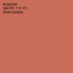 #CA6E5B - Raw Sienna Color Image